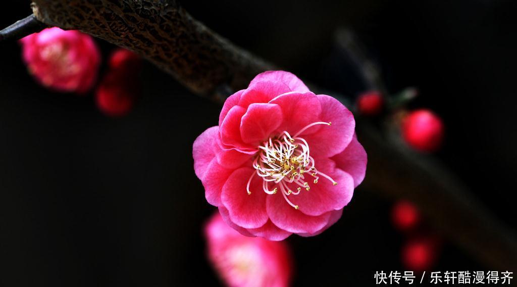 星座|情商高，交际场合一枝独秀的星座，让人钦佩又羡慕