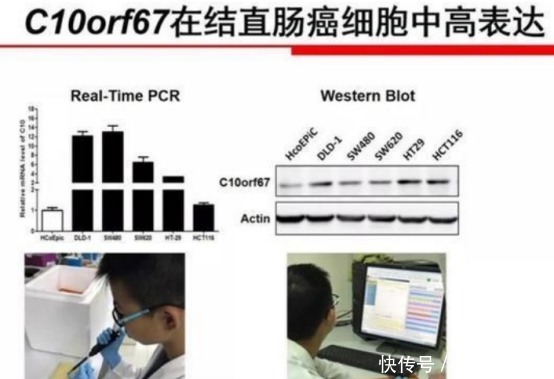 造假|小学生涉嫌学术造假，父母身份太厉害，从出生前就计算好了