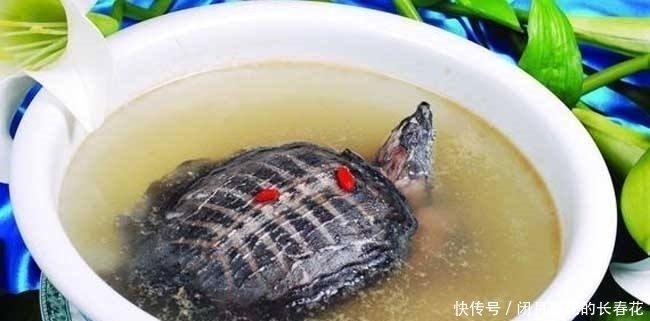 美食|5道最“残忍”的美食前两个能忍,最后一个忍不了