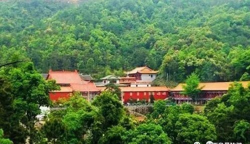  林泉|朱虹 林泉：王阳明在南赣