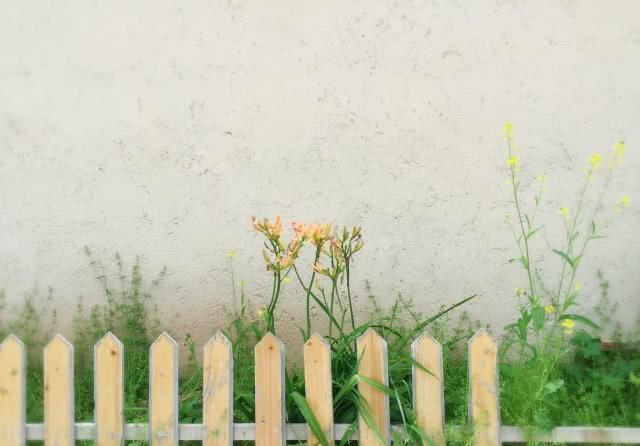 彩礼|“亲爱的,我妈不要30万的彩礼了,回来吧”“对不起,我结婚了”