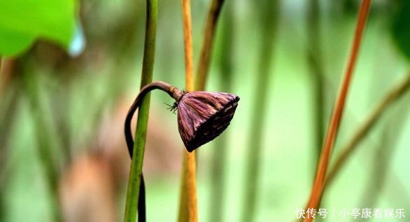 诚信|人到中年,遇到这三种人,记得深交
