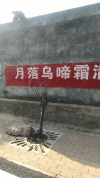 上街|妹子,你穿这样有个性的衣服上街,都不会觉得尴尬吗