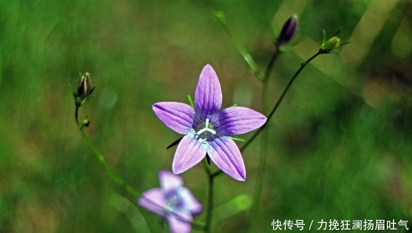 生肖|9月开始财运上佳，得贵人支持，日子顺心如意的四大生肖