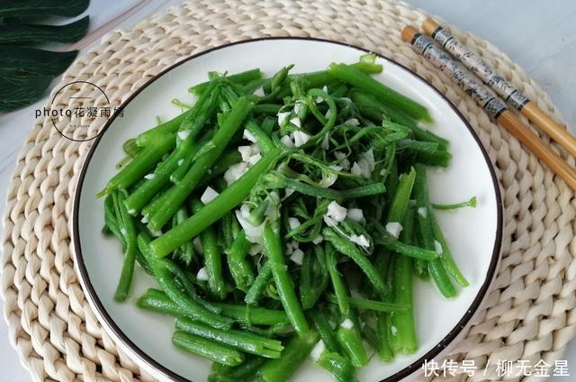  特别|这菜是个宝，可惜很多人不懂扔掉了，清热解暑，清脆爽口，正当季