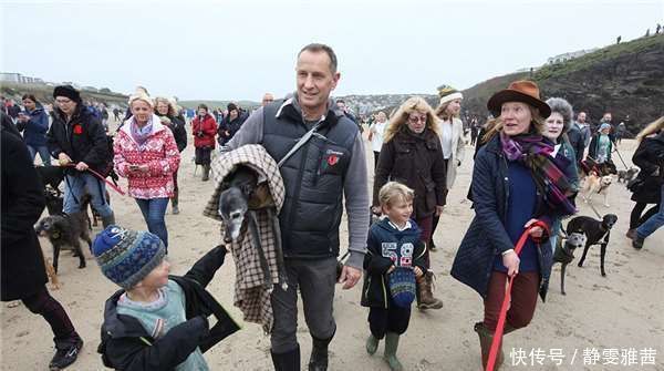  小狗|带着老小狗去海边最后一次旅行，没想到海边有数百人来了