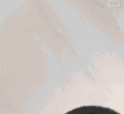 GIF|搞笑GIF:上学期间,我也这么干过