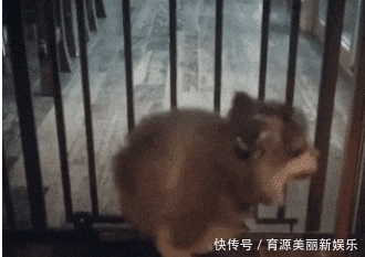 评论|“为啥高级宾馆的浴缸有那么多扶手？”哈哈哈哈哈评论也太坏了