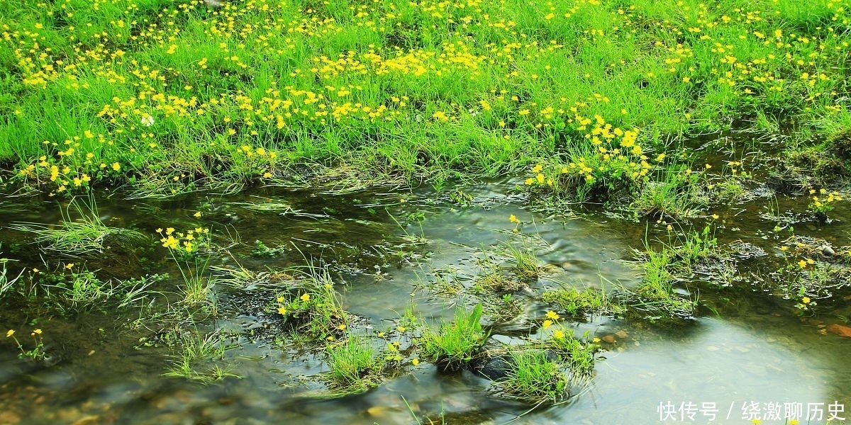  诗人|17岁的白居易参加科举考试，写下平生得意之作，震惊了大唐文坛