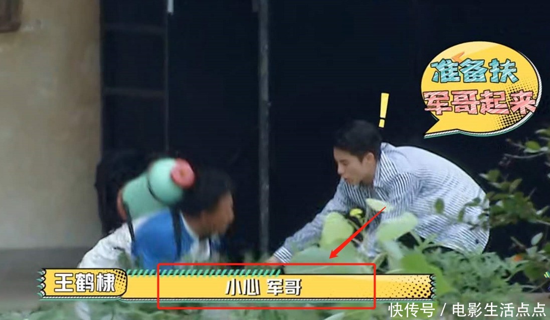  哥哥|被“低估”的综艺《元气满满的哥哥》，问题在飞行嘉宾，太扫兴