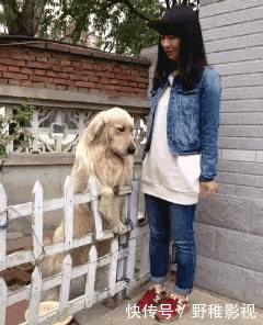 嫦娥|搞笑GIF:嫦娥姐姐是你吗?我是天蓬啊