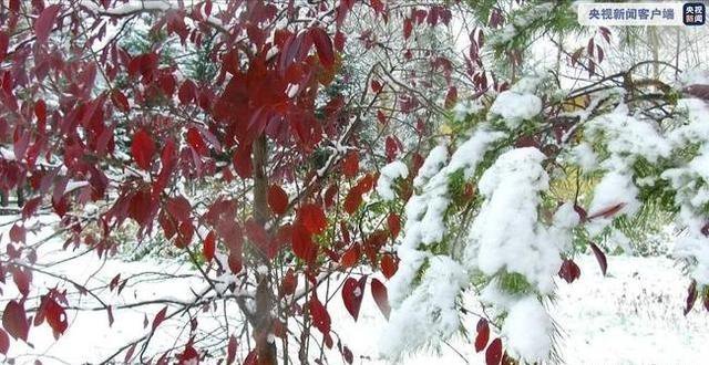  中国|中国最冷小镇迎来今秋首场大雪，开启8个月的供暖期