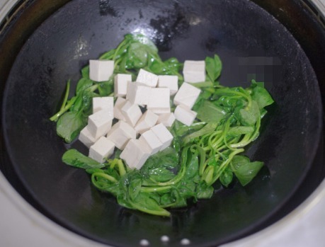 小白菜|白菜炖豆腐,有人先炒白菜,有人先炒豆腐,都错了,这样做才好吃