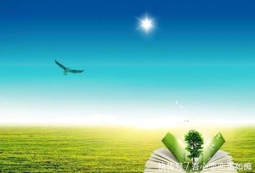 人生|人生的意义,生活的阳光在哪里