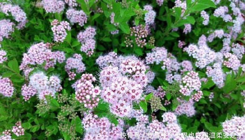 人生|元气满满的人生良言,精致走心,发朋友圈很不错