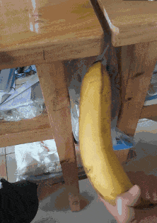 GIF|搞笑GIF：一直在模仿从未被超越，厉害