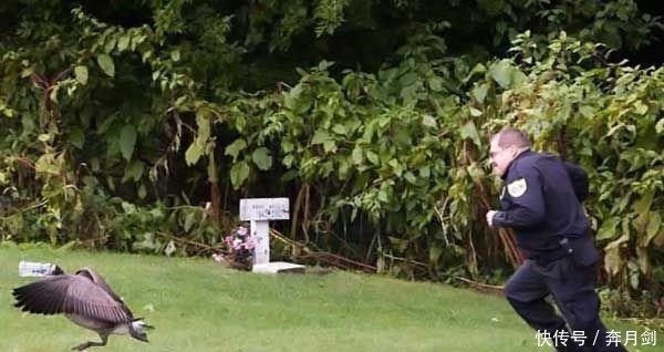 政治|军事搞笑系列，带你感受别样的欢乐