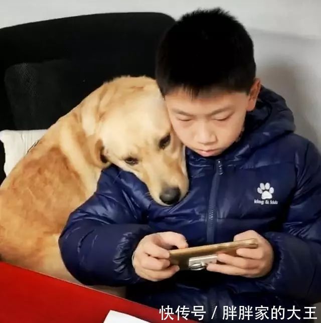  打开|狗狗突然没了动静，打开儿子房间看到这一幕笑喷了，狗头军师吗