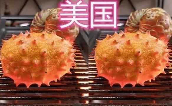 西瓜|同样是烧烤,中国人烤西瓜,泰国人烤椰子,看到迪拜这才是“壕”