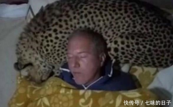  晚上|男子野外露营，晚上睡觉在帐篷顶部装上摄像头，拍下不可思议一幕