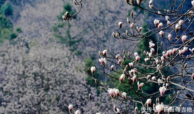 天堂寨|金寨县人呢这些金寨美食小吃,请告诉周边人