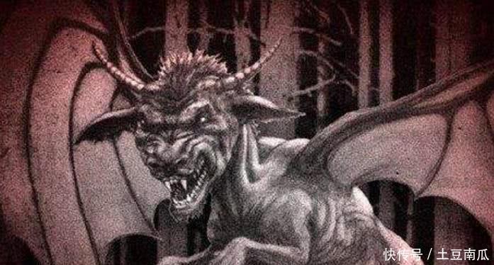  动物|5种未知的隐匿动物，第3种已发现不止三百次