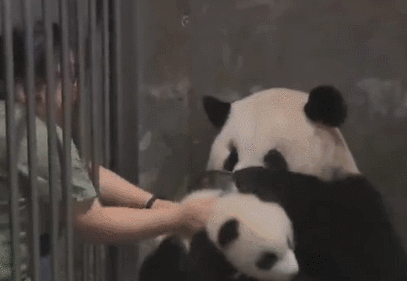 离家出走|“我妈和骗子的聊天记录曝光,看得我想离家出走...哈哈哈哈哈哈”