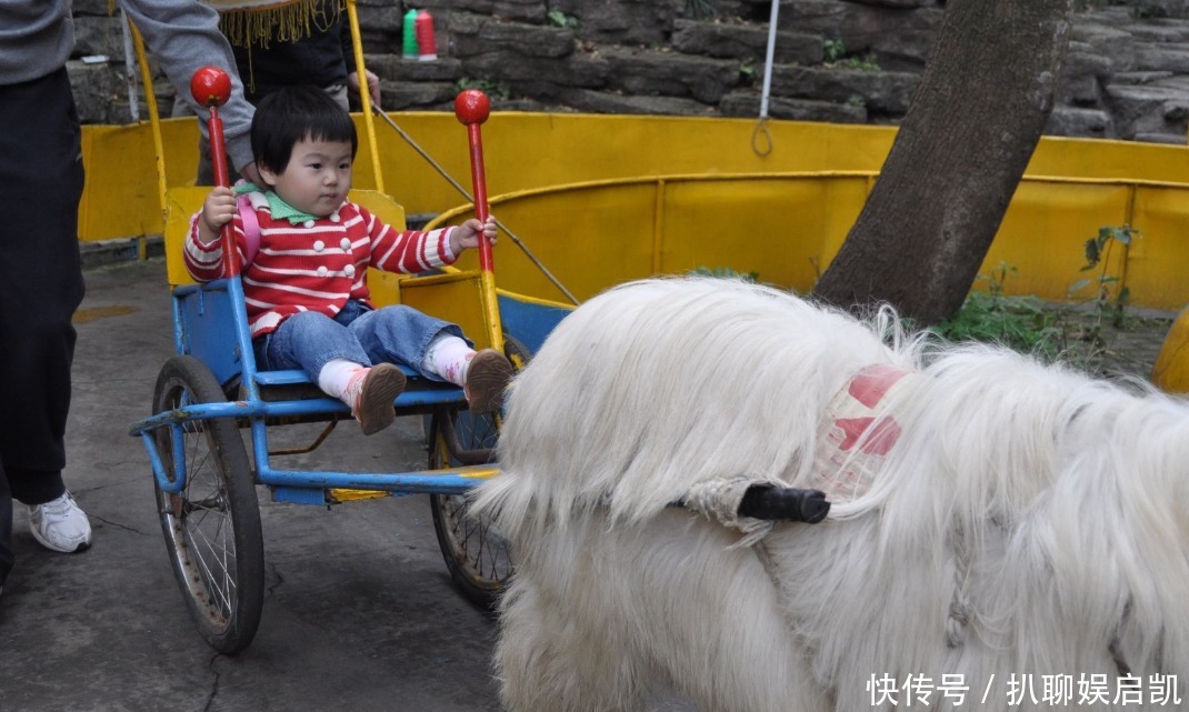 司马炎|皇帝后宫佳丽三千，怎样做到雨露均沾？这个皇帝真会玩！