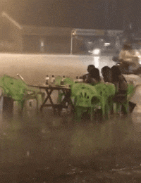 GIF|搞笑GIF：小鱼干给朕藏哪啦？这都不是朕的小鱼干！这货真是贱贱的啊！