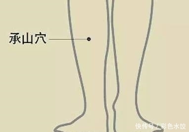 承山穴|人人都有6个“养生穴”,每天按一按,从头到脚都健康