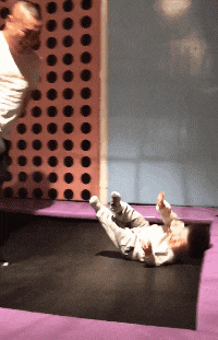 确认|搞笑GIF:确认过眼神,是想啄的人