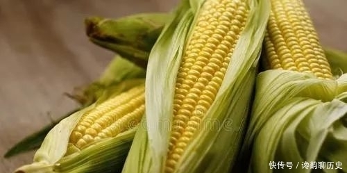 稳定|新闻《山东省农业农村厅:关于印发2020年全省玉米生产技术意见的通知》