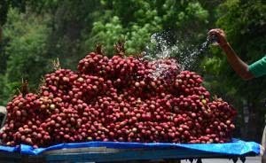 效仿|印度引进“中国特产”却成毒药效仿中国出口,受尽了侮辱
