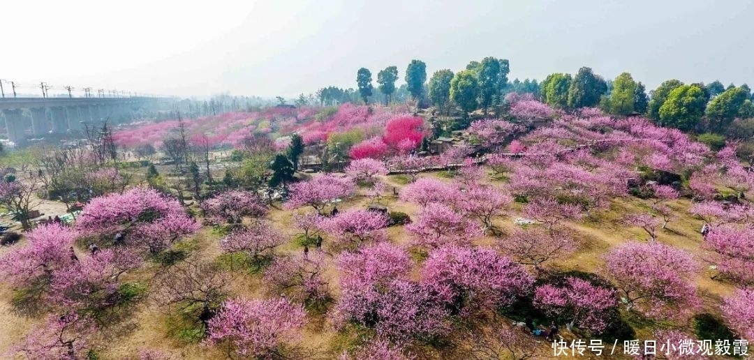 浅谈|浅谈秀丽东方IP对成都公园城市建设的借鉴作用