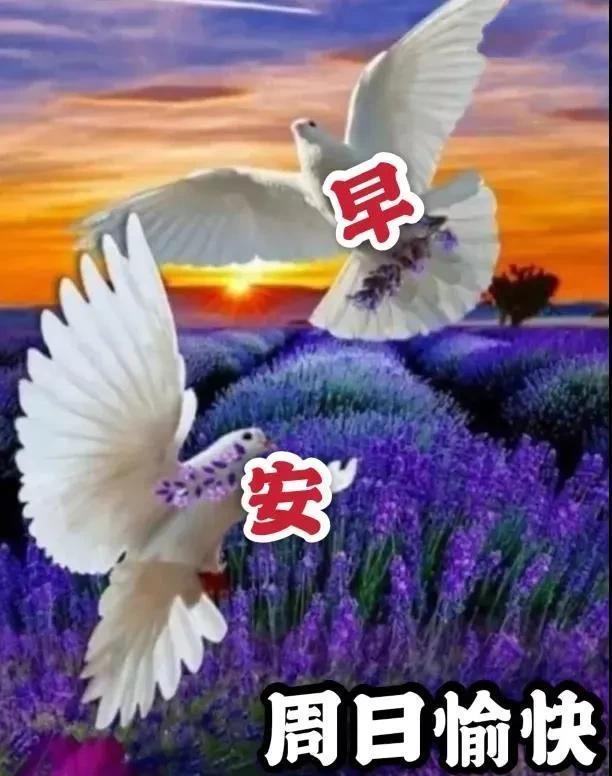 镜子|清晨到,对着镜子照,照一照,笑一笑,所有烦恼都跑掉,早安