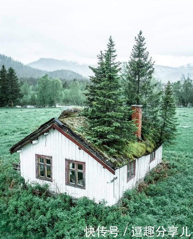 无所不能|那些人类遗忘的角落,大自然无所不能