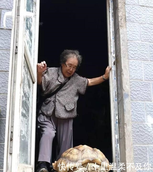 逛街|八旬奶奶买来乌龟,几年后发生巨变,逛街时路人惊呆