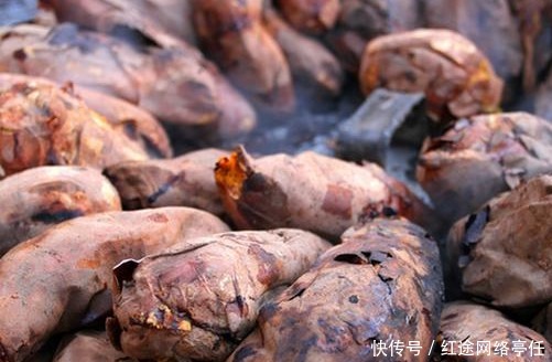 技术|此人从西班牙带回种技术,所产之物拯救中国人,现在听到还流口水