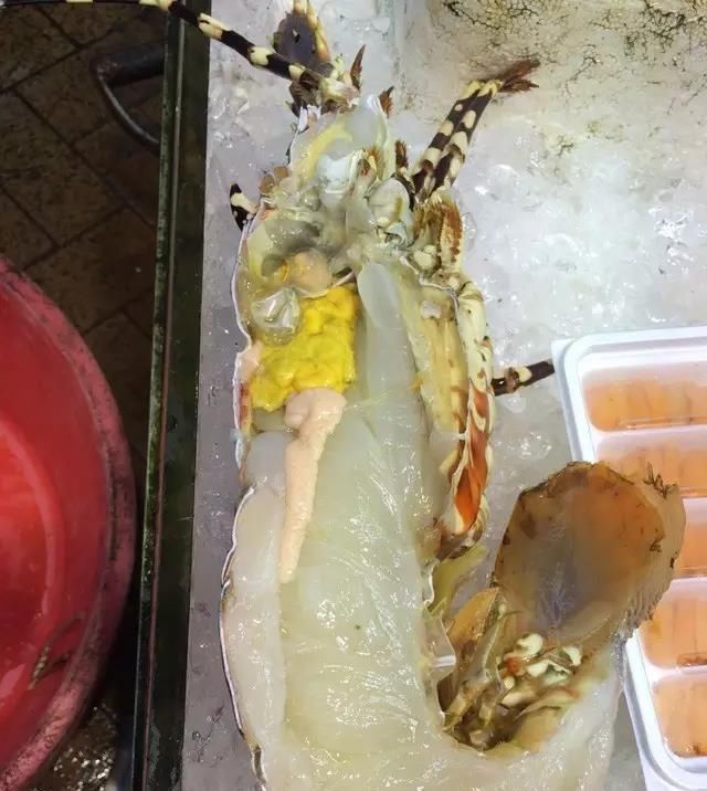 海鲜|世界上65种珍奇海鲜,贝爷都不敢说全部吃过,你吃过几种