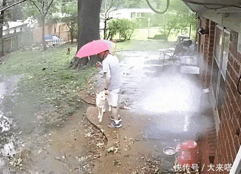  行人|镜头下: 那些不死也会被吓死的“惊险瞬间”