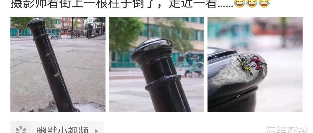  迷惑|“女朋友老是吃这种药，这吃了有什么用？哈哈哈咱不懂也不敢问...”