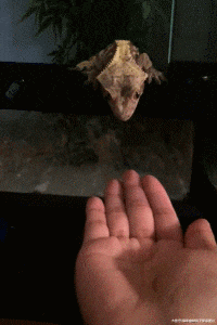  默契|搞笑GIF：好基友，总是这么默契，吸二手烟