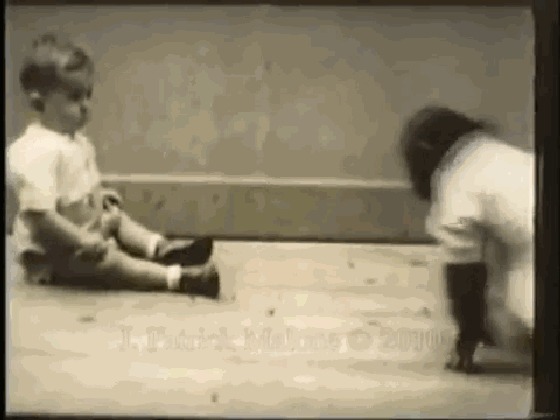 人类|黑猩猩与人类婴儿一同长大,以为自己是人类,后来变成什么样了