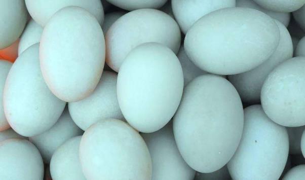 时间|鸡蛋什么时候吃最好错过这个时间,吃再多都没用