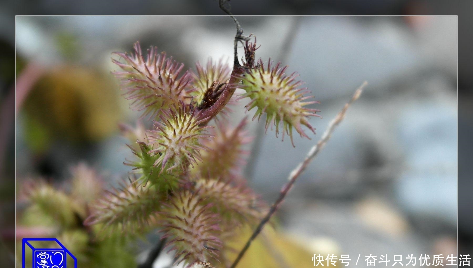 成大器|成年人有这四种行事方式，注定难成大器，现在改正还来得及