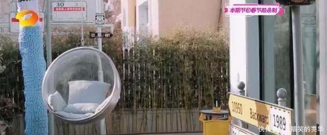  王鸥|王鸥访问了黄雅莉家，黄雅莉上演了“向往的生活”