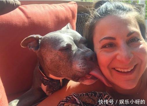 洪水|洪水来袭,夫妻放弃全部家当,只救出一群狗狗……