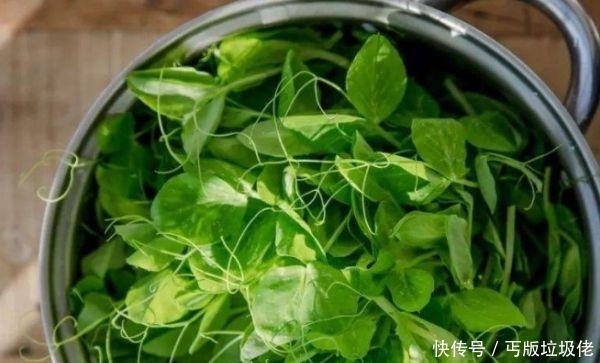 洗肠|它比荠菜好吃,比香椿美味,还能刮油洗肠,女孩子不要错过