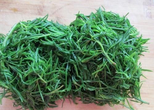 润肠|夏天吃饺子,韭菜靠边站,这菜做馅鲜嫩多汁营养好,还能润肠通便