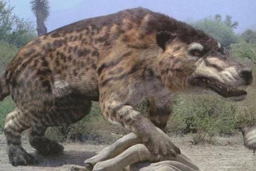 上榜|探索神奇的世界世界10大灭绝动物，霸王龙和渡渡鸟上榜，你认识几个